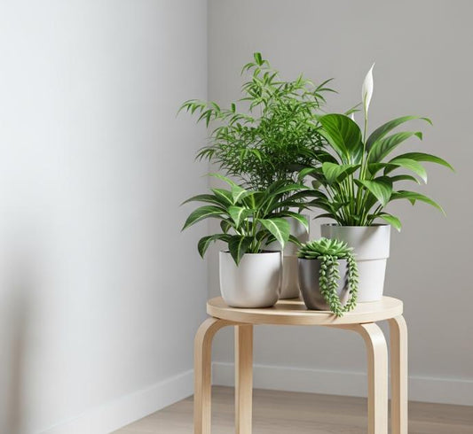 The Art of Bringing Nature Indoors